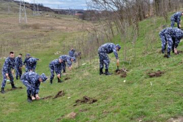 Elevii din anul I ai Școlii Militare de Subofițeri Jandarmi Fălticeni au participat la acțiuni de ecologizare a mai multor străzi și de plantare de puieți