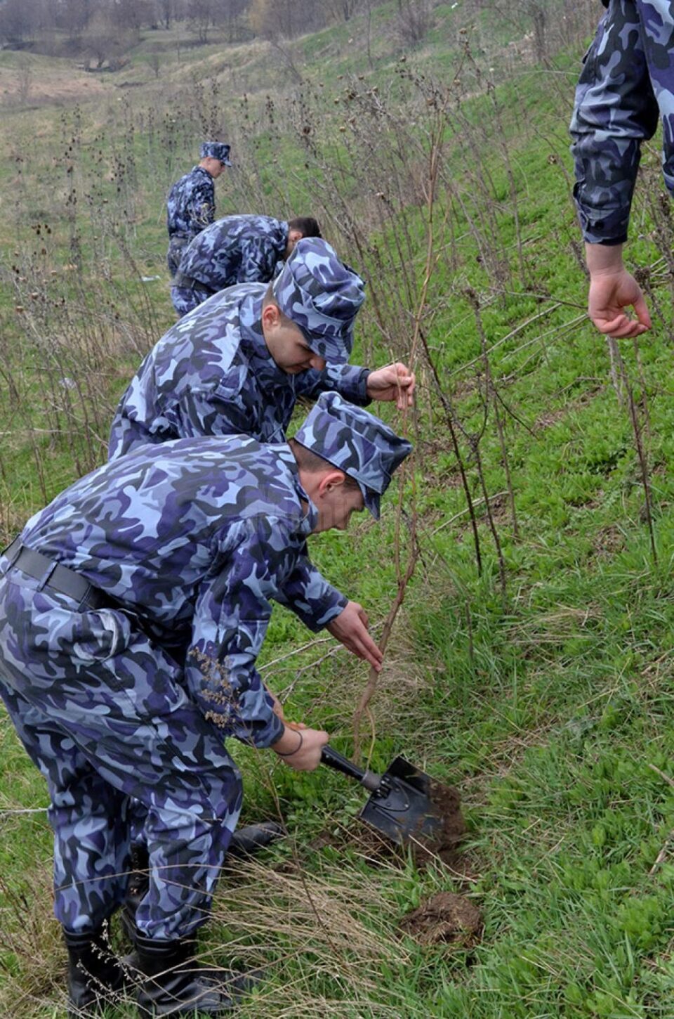 Jandarmii au făcut curățenie pe străzi și au plantat 300 de puieți