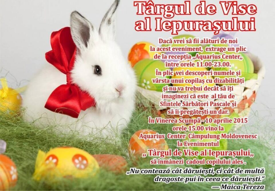 ,,Târgul de vise al iepurașului”