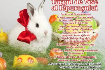,,Târgul de vise al iepurașului”