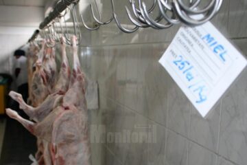 Mieii sunt mai scumpi în acest an