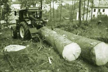 „Întrecerea socialistă”