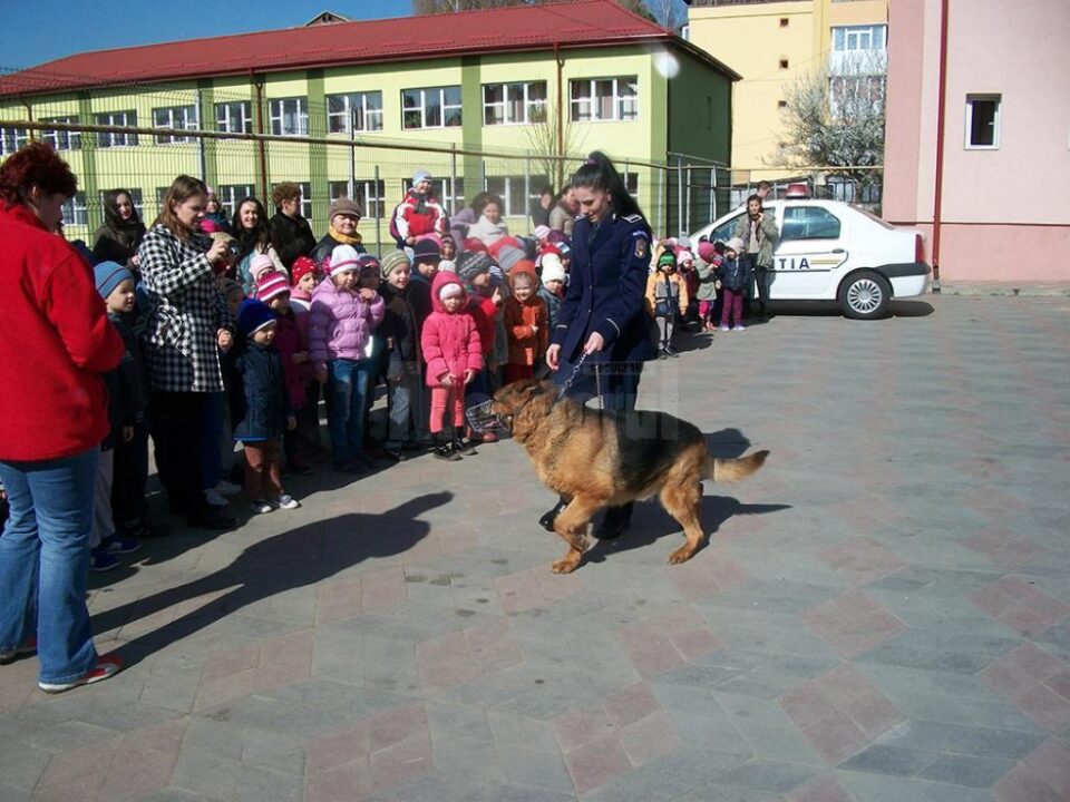 Un câine polițist, însoțit de dresoarea Aspazia Puiu, polițist al IPJ Suceava, le-a demonstrat celor 450 de preșcolari modul în care o sprijină și o apără de un ,,infractor” Un câine polițist, însoțit de dresoarea Aspazia Puiu, polițist al IPJ Suceava, le-a demonstrat celor 450 de preșcolari modul în care o sprijină și o apără de un ,,infractor”