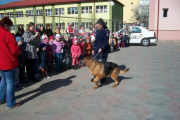 Un câine polițist, însoțit de dresoarea Aspazia Puiu, polițist al IPJ Suceava, le-a demonstrat celor 450 de preșcolari modul în care o sprijină și o apără de un ,,infractor”