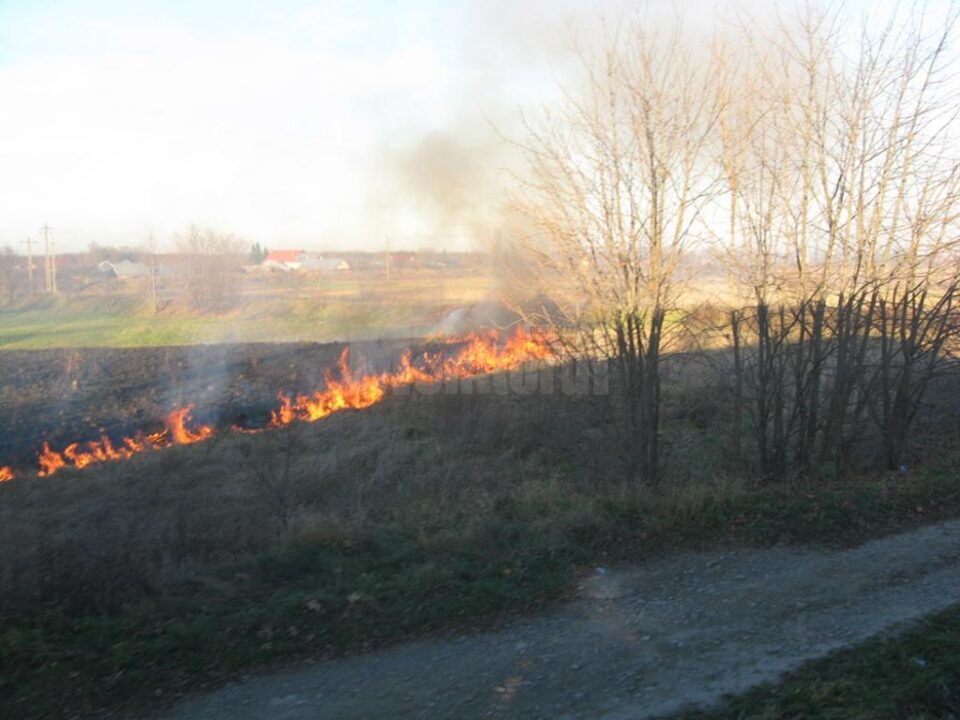 Incendiile s-au succedat unul după altul din cauza oamenilor care au incendiat miriștile fără a le supraveghea