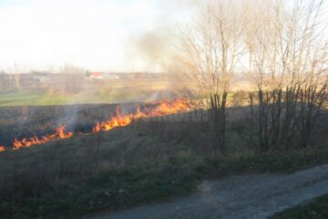 Incendiile s-au succedat unul după altul din cauza oamenilor care au incendiat miriștile fără a le supraveghea