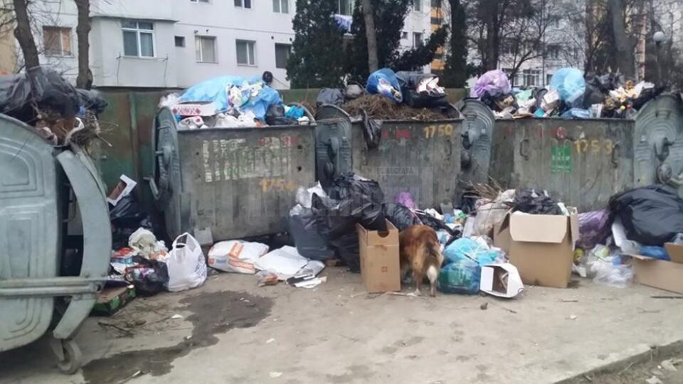 Suceava riscă să fie sufocată de gunoaie, în lipsa unui operator de salubrizare menajeră