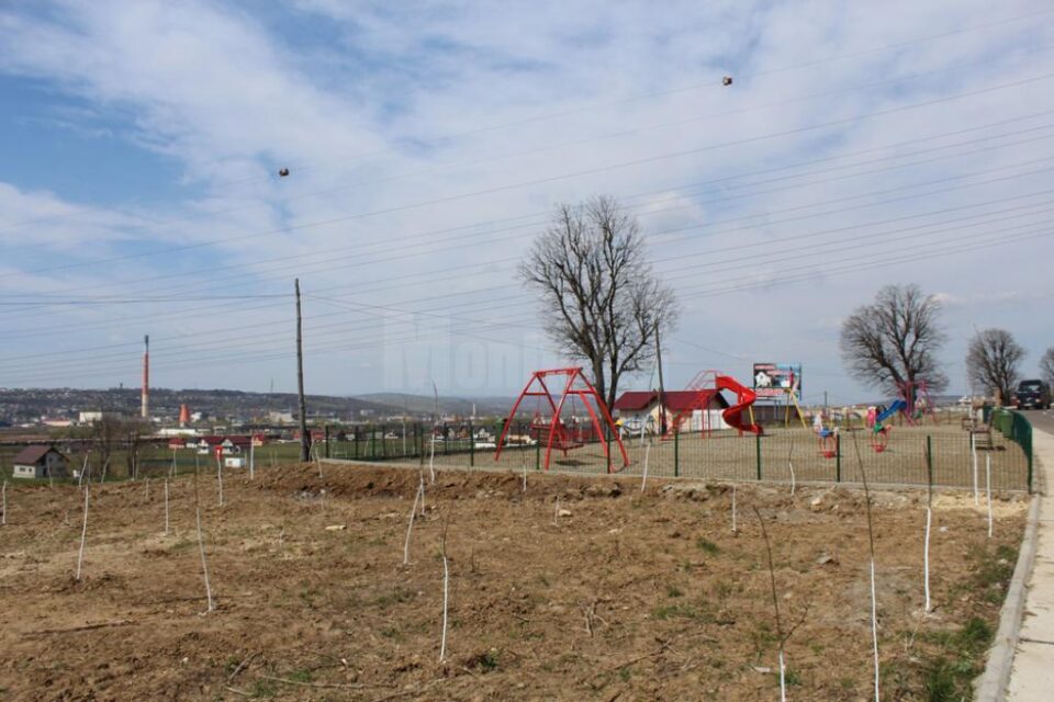 Locuitorii cartierului de case au plantat zeci de arbori în jurul locului de joacă, pentru a crea un miniparc