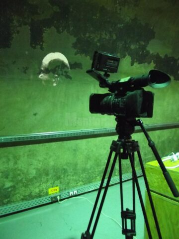 „Inside Zone”, la „Uzina de Apă” Suceava