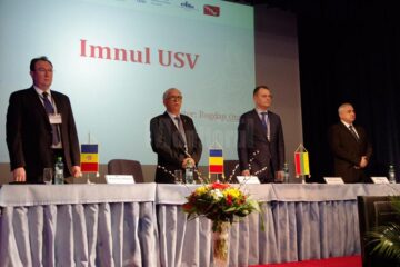 Președintele Curții Constituționale, despre extinderea ordonanței de reținere la 48 sau 72 de ore și efectele respingerii ordonanței privind migrația aleșilor locali
