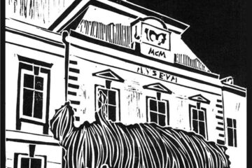 Contribuție la renașterea Muzeului de Istorie din Suceava