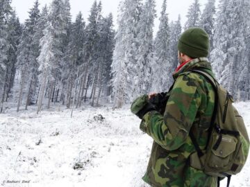 Documentare în genul celor de la Discovery, realizate de doi frați din Fundu Moldovei în pădurile județului, pentru a promova bogățiile Bucovinei