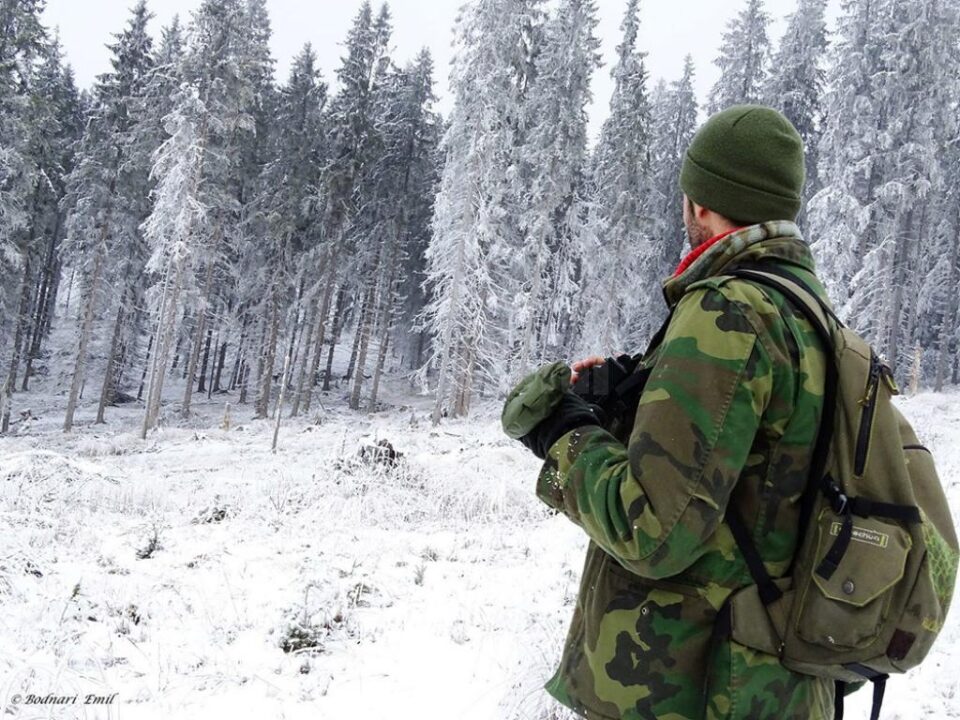 Documentare în genul celor de la Discovery, realizate de doi frați din Fundu Moldovei în pădurile județului, pentru a promova bogățiile Bucovinei