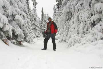 Documentare în genul celor de la Discovery, realizate de doi frați din Fundu Moldovei în pădurile județului, pentru a promova bogățiile Bucovinei