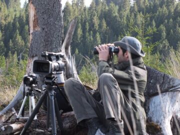 Documentare în genul celor de la Discovery, realizate de doi frați din Fundu Moldovei în pădurile județului, pentru a promova bogățiile Bucovinei