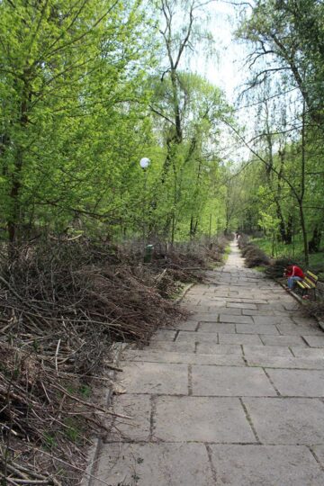 Mobilizare de forțe pentru a le reda sucevenilor dornici să iasă în natură parcul Șipote
