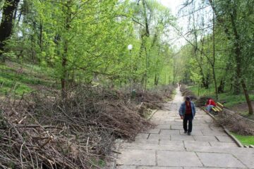 Mobilizare de forțe pentru a le reda sucevenilor dornici să iasă în natură parcul Șipote