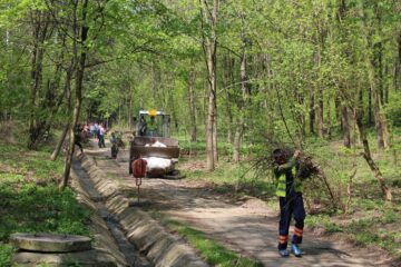 Mobilizare de forțe pentru transformarea celui mai mare spațiu verde al Sucevei într-un parc care să fie căutat de suceveni