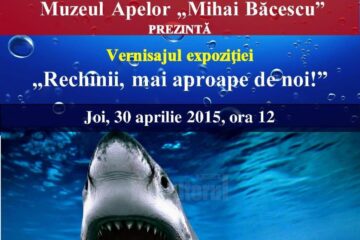 „Rechinii, mai aproape de noi”, la Muzeul Apelor Fălticeni
