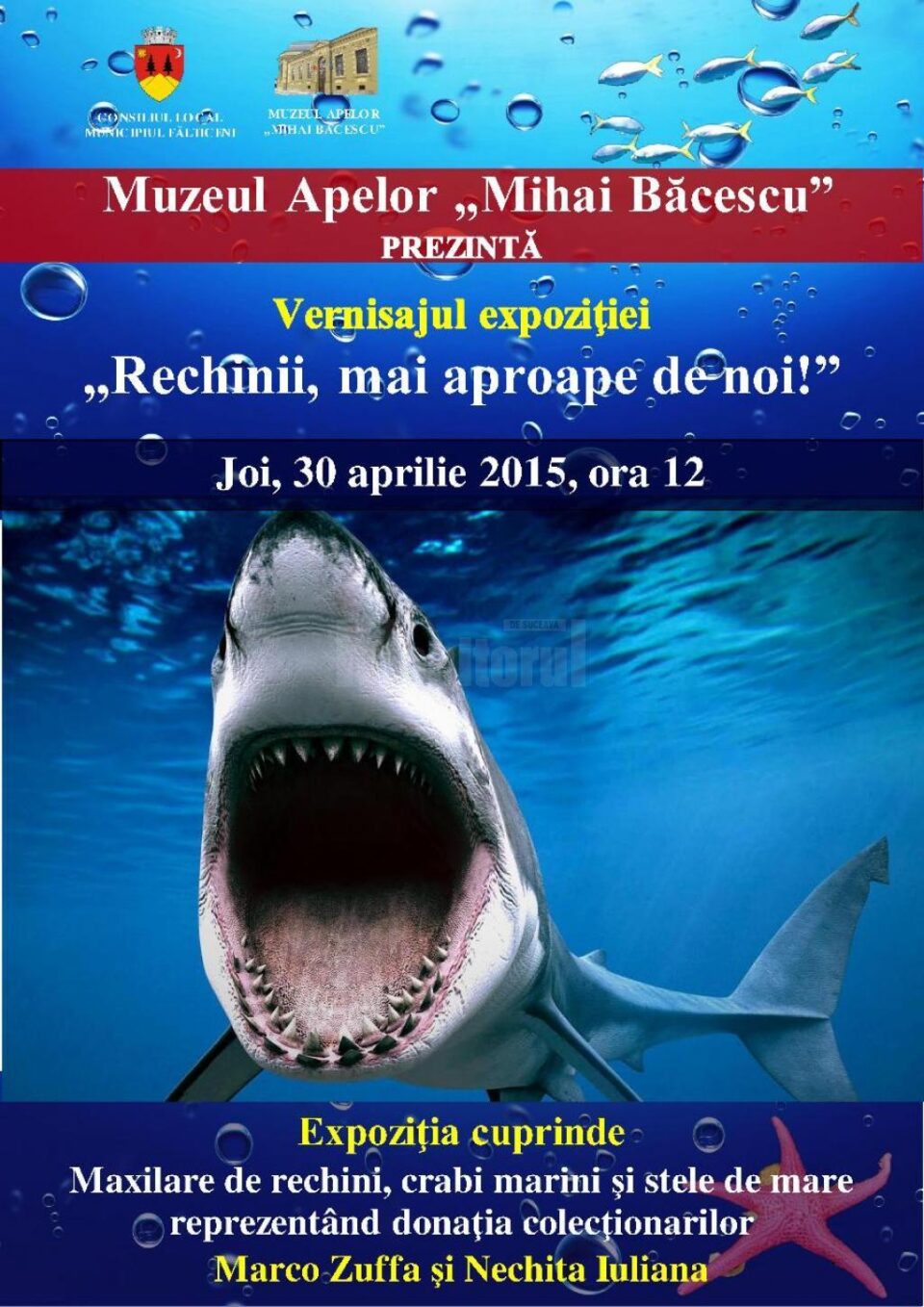 „Rechinii, mai aproape de noi”, la Muzeul Apelor Fălticeni