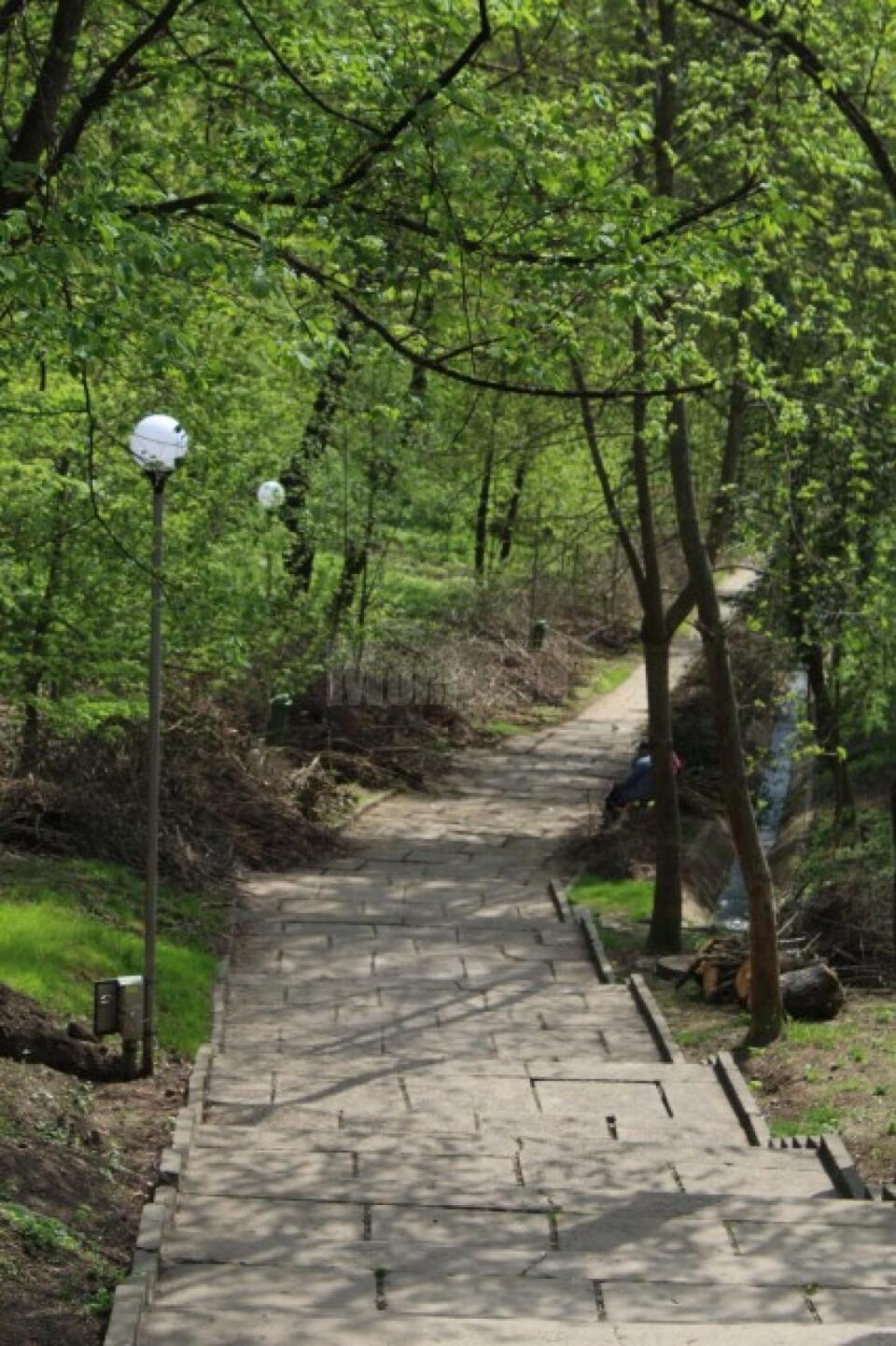 Parcul Șipote din Suceava