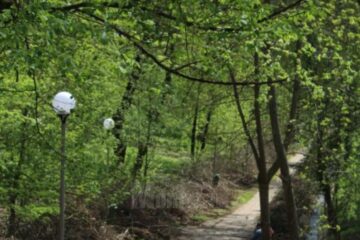 Parcul Șipote din Suceava