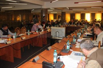 O parte dintre consilierii locali au dat un vot de blam echipei de fotbal, ceea ce a dus la blocarea finanțărilor nerambursabile