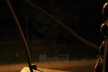 Invazie de cărăbuși de mai