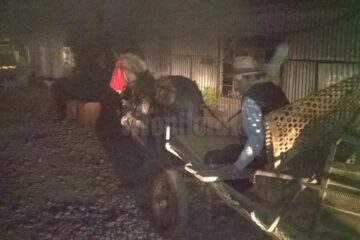 Un bătrân a încărcat o căruță cu fier vechi furat de la o balastieră