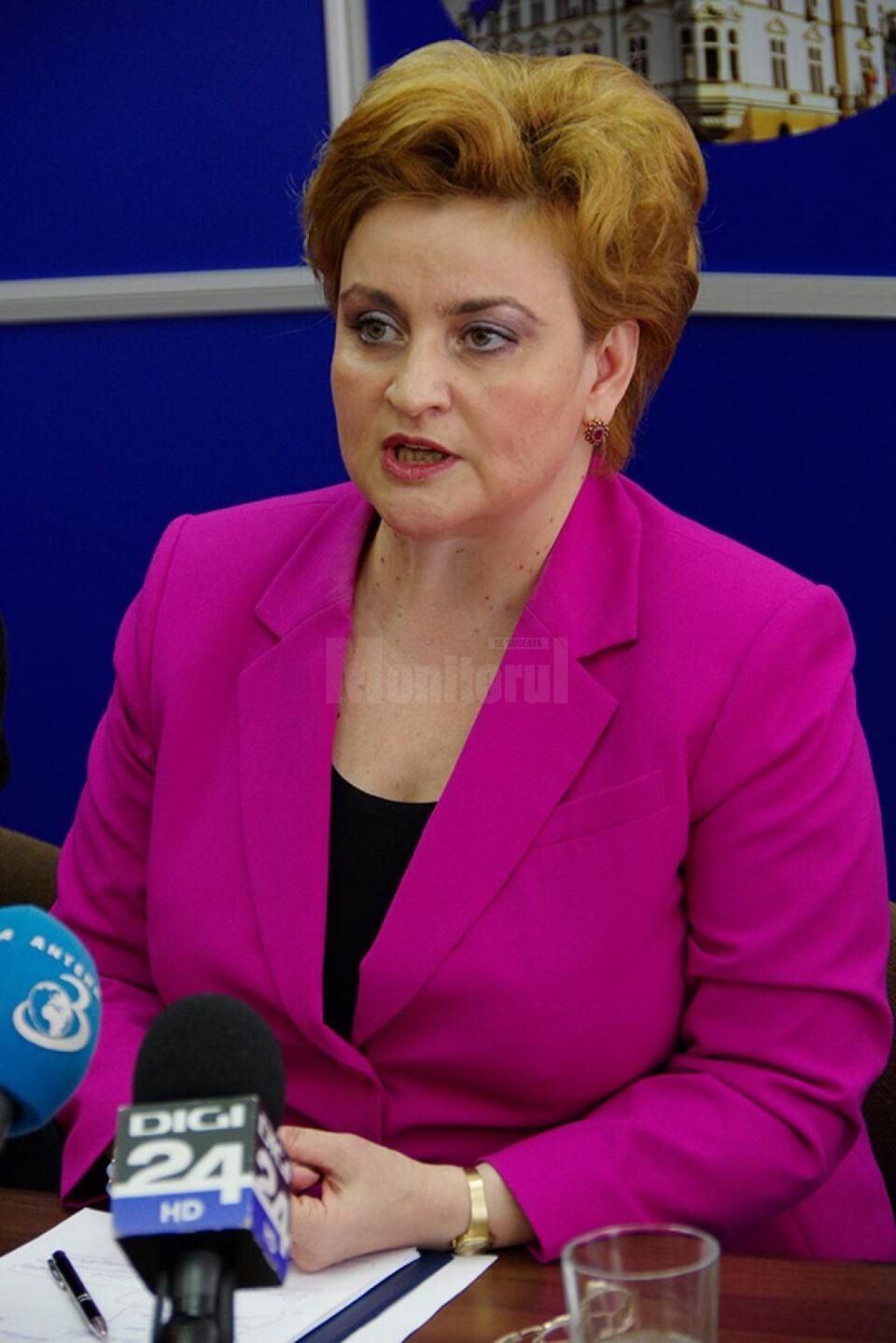 Ministrul Mediului, Apelor și Pădurilor, Grațiela Leocadia Gavrilescu