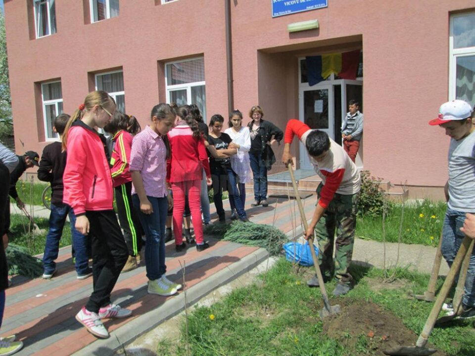 Peste 60 de elevi și adulți au participat la amenajarea spațiului verde din fața unei școli din Vicovu de Sus