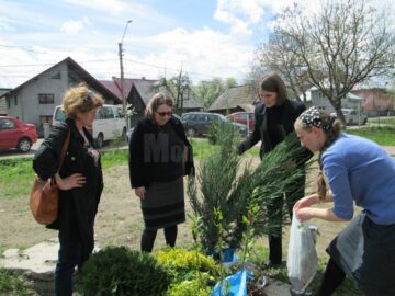Peste 60 de elevi și adulți au participat la amenajarea spațiului verde din fața unei școli din Vicovu de Sus