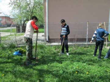 Peste 60 de elevi și adulți au participat la amenajarea spațiului verde din fața unei școli din Vicovu de Sus