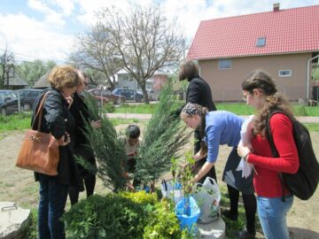 Peste 60 de elevi și adulți au participat la amenajarea spațiului verde din fața unei școli din Vicovu de Sus