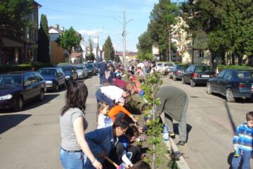 Activități cu caracter ecologic