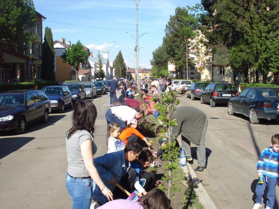 Activități cu caracter ecologic