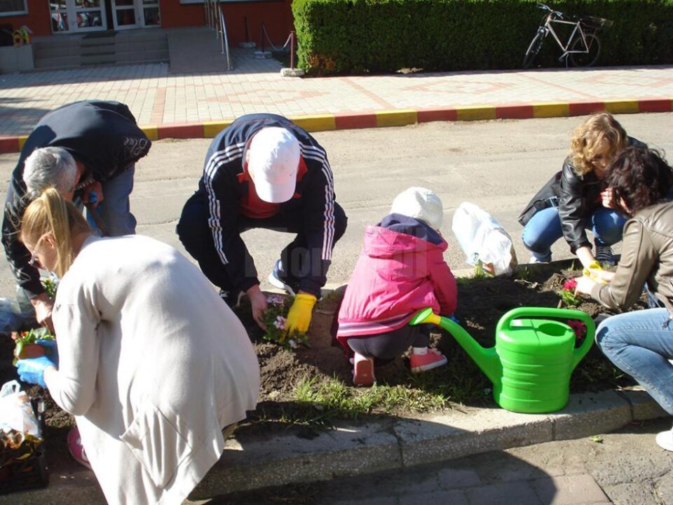 Căsuțe pentru păsărele și plantări de flori, la Eco Școala „Bogdan Vodă”
