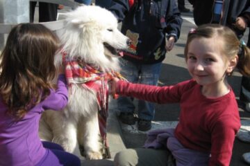 Expoziția chinologică Bucovina Dog Show