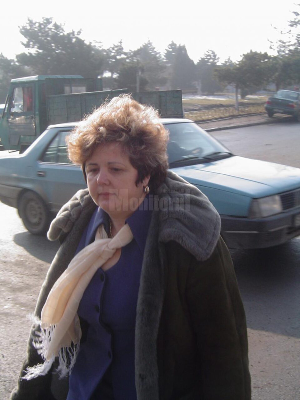 Tamara Chiribucă - Achiței a solicitat audierea lui Marian Ionescu și în timpul procesului de la Tribunalul Bistrița