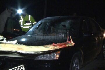 Lemnul a pătruns prin parbriz și a străpuns-o pe femeie
