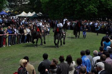 Hora Bucovinei de anul acesta a atras un număr record de vizitatori