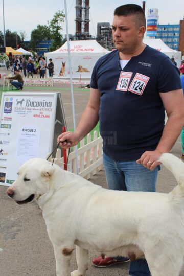Cel mai important eveniment chinologic din Moldova a adus în fața sucevenilor sute de câini de rasă din toată lumea