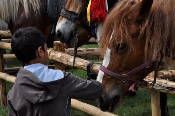 Hora Bucovinei de anul acesta a atras un număr record de vizitatori