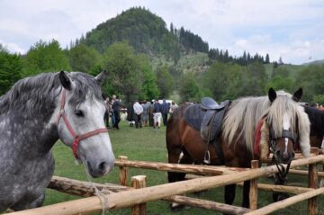 Hora Bucovinei de anul acesta a atras un număr record de vizitatori