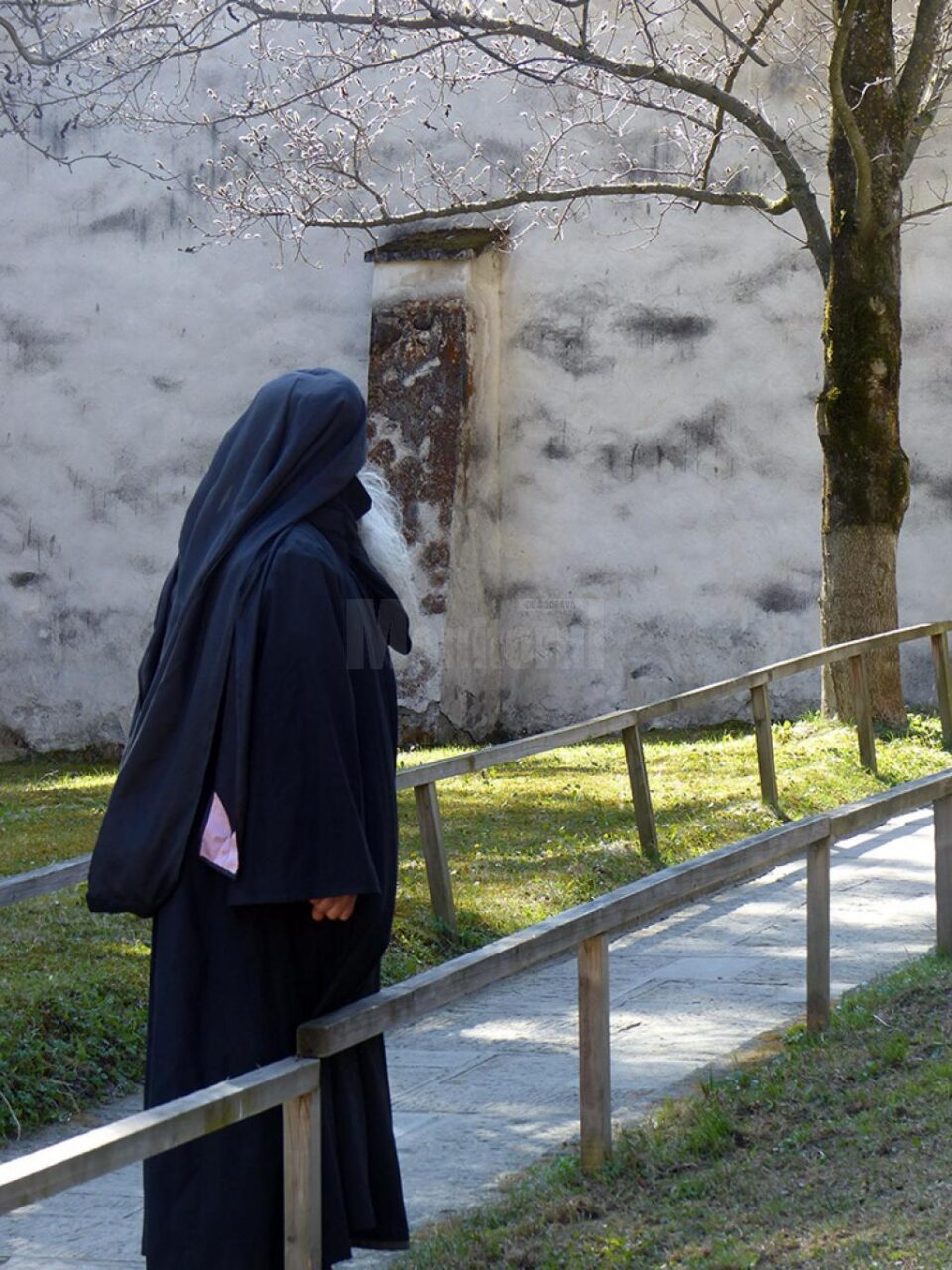 Puterea care mișcă munții și deschide inima omului