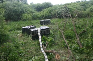 Peste 20.000 de pachete de țigări de contrabandă, confiscate la Brodina, Vicovu de Sus și Siret