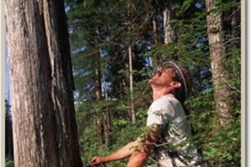 „Întrecerea socialistă în exploatările forestiere”