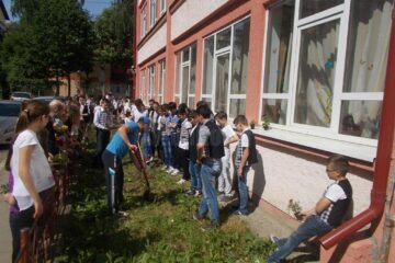 Elevii Școlii Gimnaziale Nr. 4 Suceava au plantat flori în curtea unității