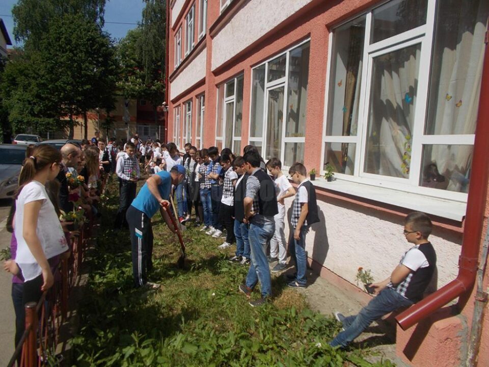 Elevii Școlii Gimnaziale Nr. 4 Suceava au plantat flori în curtea unității