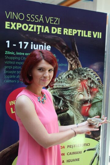 Țestoase carnivore și șerpi de peste 5 metri, pe culoarele Shopping City Suceava